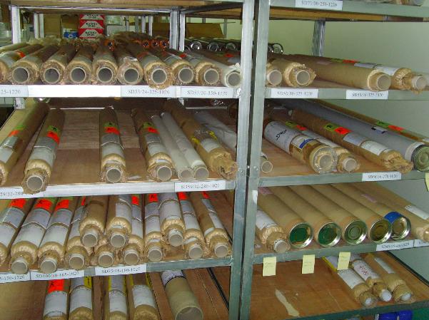 BOPP�����˿��