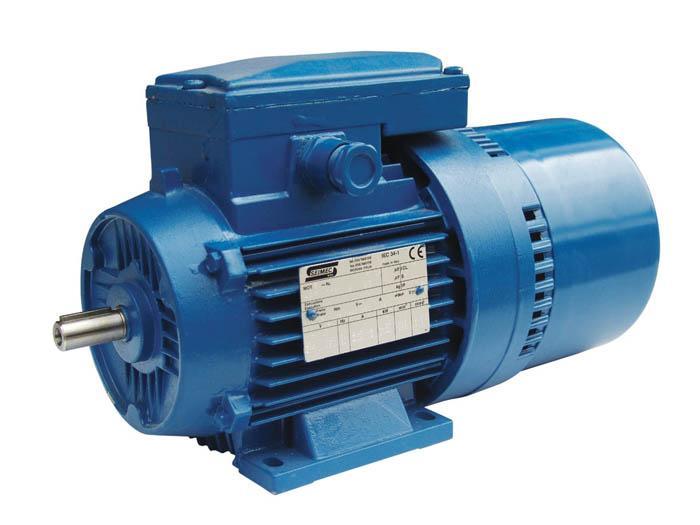 �����coelɲ��