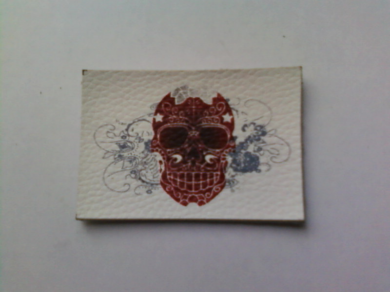 Ƥ̱