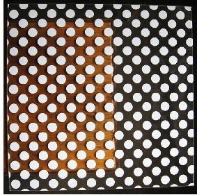 ���Բ���