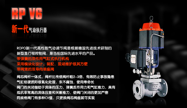 ¹ROPO綯ִ