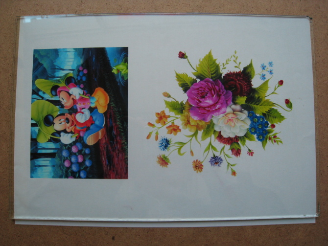 ��ݸ���ܲ�Ʒ��ӡ�������ܲ������ƣ���ӡ��ȡ