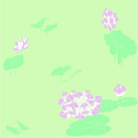˿ֽģ