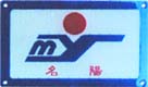 ϵ
