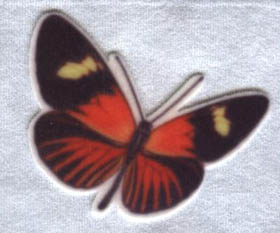 ɫֲתӡ