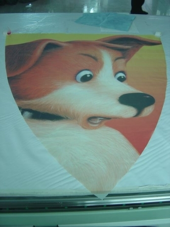 ӡ