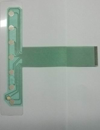 ��Ĥ������·��