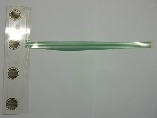 ���Լ���