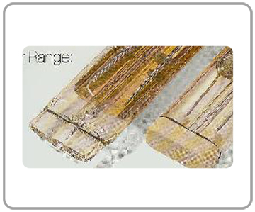 ��˫�ܺ����