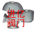 ȫ