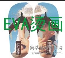 㽭ֱ̻EVA̻