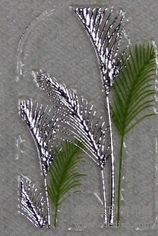 ��ӦKIWIָ����ֽUV���뵯����