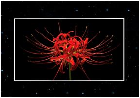 1561187853896911.png 图2.png